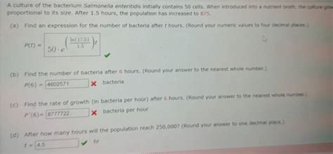 Solved A Culture Of The Bacterium Salmonella Enteritidis Initially