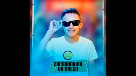 Cd Promocional Cachorrinho Do Brega Piseiro Youtube