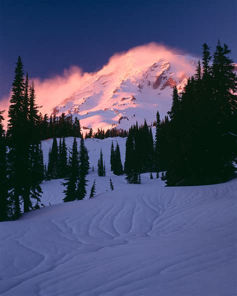 View Of Mt Rainier In Winter, Mt Photograph by Panoramic Images - Fine Art America