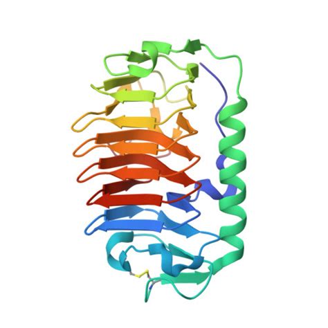 RCSB PDB 3WP9 Crystal Structure Of Antifreeze Protein From An