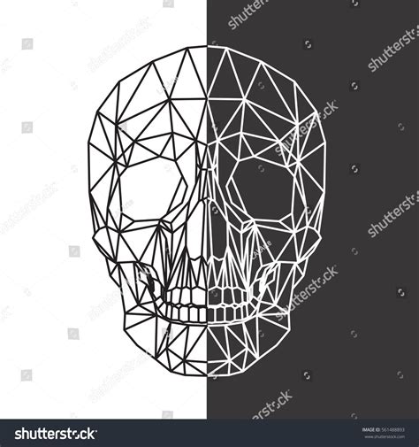 Calavera Humana Cráneo Líneas Poligonales Abstractas Vector De Stock