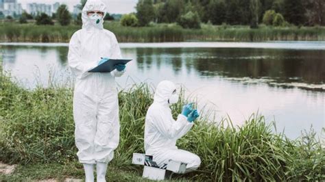 Scienziato Della Natura Cosa Fa Quanto Guadagna E Come Diventarlo