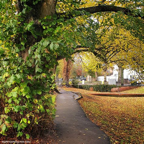 Autumnal Wanders Around Carshalton And Sutton Secret Carshalton