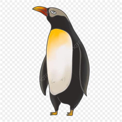 Cartoon Penguin Clipart Transparent Background, Penguin Clipart Ugly Uncle Penguin Cartoon ...