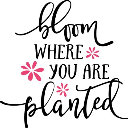 Bloom Where You Are Planted Inspirational Free Svg File SVG Heart