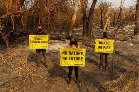 Como Ajudar Greenpeace Brasil