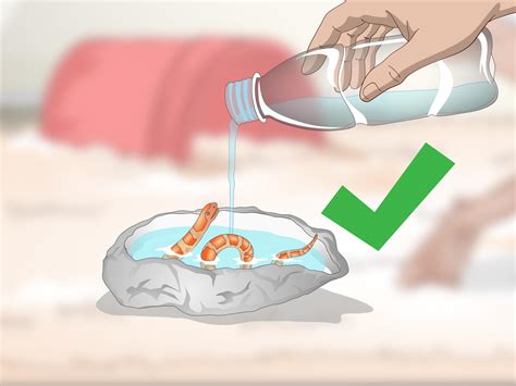 3 Ways to Create a Corn Snake Vivarium - wikiHow