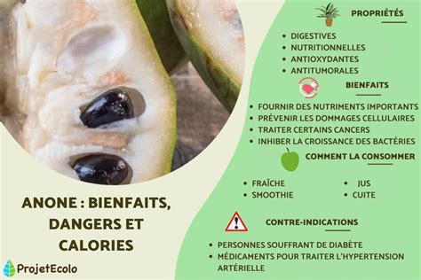 ANONE : BIENFAITS, DANGERS et CALORIES - Comment manger l'anone ? Guide ...