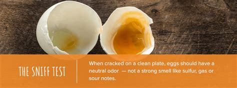 How To Tell If Eggs Are Bad Sauder S Eggs