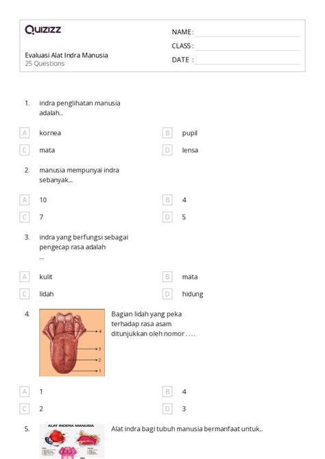 50 Lembar Kerja 5 Indra Untuk Kelas 4 Di Quizizz Gratis And Dapat Dicetak