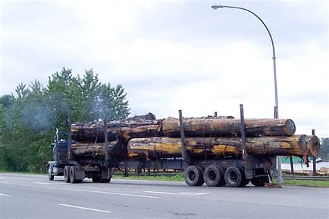 Log Exports High On Agenda For B C Ndp And Forest Industry Saanich News