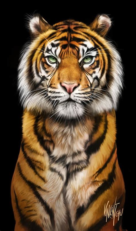 Artstation Procreate Painting Tiger In The Night Vincent Chu Tiger