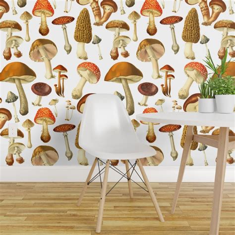 Pre Pasted Wallpaper 2ft Wide Vintage Botanical Botanicals Mushrooms Illustration Nature Art