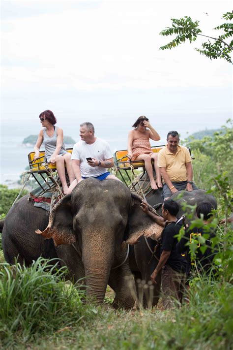 Phuket Elephant Trekking In Phuket Thailandby