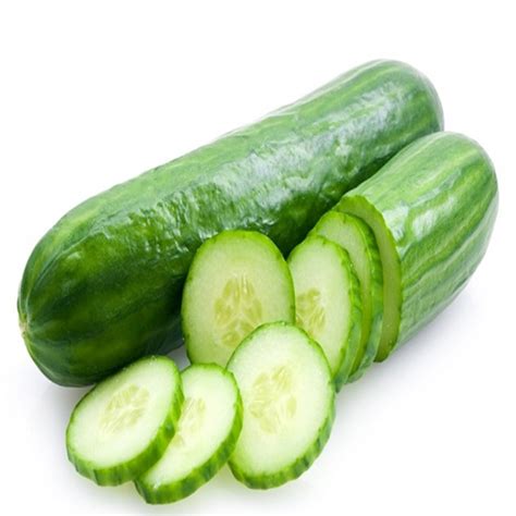 Fresh Cucumber,fresh cucumber - SEAWAYS SHIPPING AND LOGISTICS LIMITED