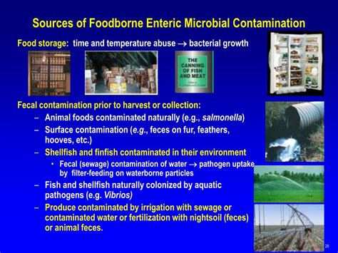 Ppt Envr 430 Foodborne Microbial Disease And Food Safety Powerpoint