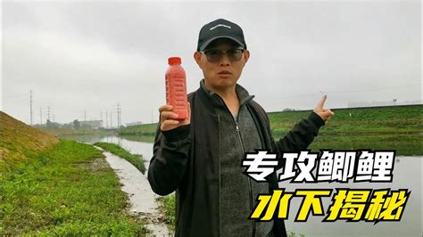 驗證野釣爆護的釣魚中藥酒秘方，專釣鯽魚鯉魚，實踐證明真實有效 Youtube