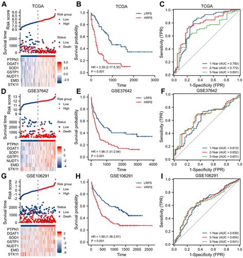 Identification And Validation Of A 7 Genes Prognostic Signature For Adult Acute Myeloid Leukemia