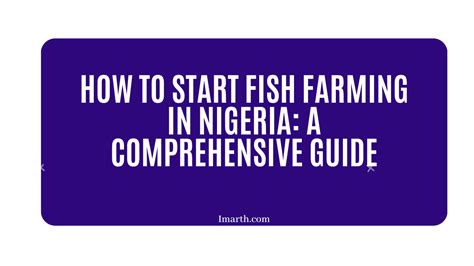 How To Start Fish Farming In Nigeria A Beginner S Guide Imarth