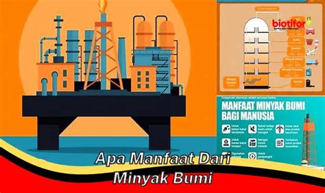 Temukan 5 Manfaat Minyak Bumi Yang Jarang Diketahui Biotifor