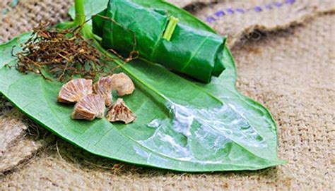 Raja Chuna- An edible component in Paan – Singal's