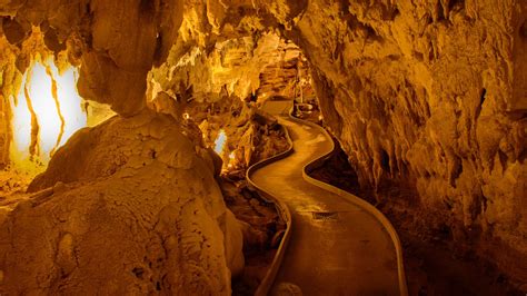 Touring New Zealand's Waitomo Caves | Britannica