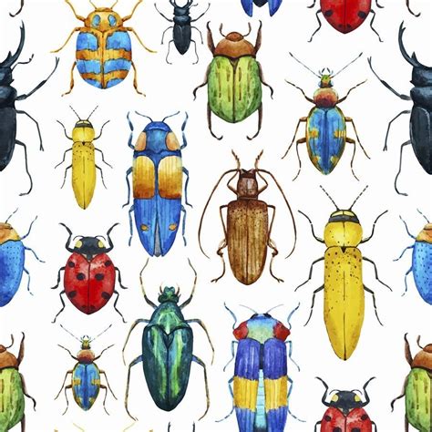 Entomology Wallpapers Top Free Entomology Backgrounds Wallpaperaccess