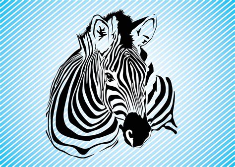 Zebra Graphics Vector Art & Graphics | freevector.com