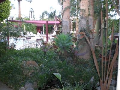 LGBTQ Gay Lesbian Bed Breakfasts Hotels Motels Inns Resorts Palm
