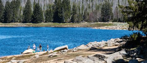 Hikers Capture Photo Of Naked Wolf Man In Remote Wilderness The Daily Caller