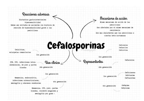 Cefalosporinas Thaís Maranduba uDocz