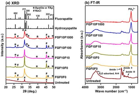 Ijms Free Full Text Fluoride Incorporated Apatite Coating On