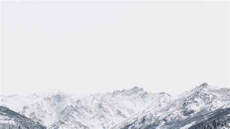 wick capital partners