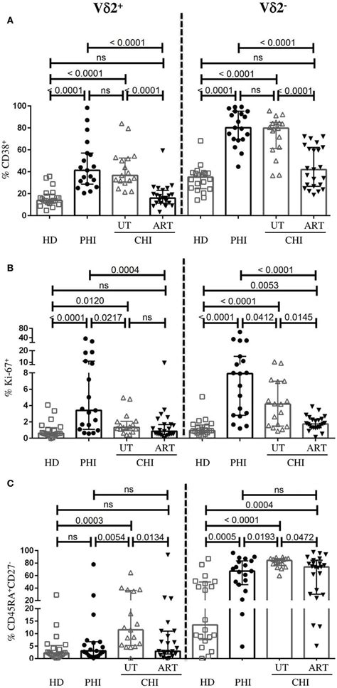 Phenotypic Profile Of V And V T Cells Comparison Of