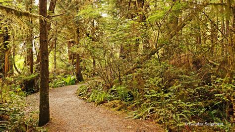 The Wild Pacific Trail (Vancouver Island) - Rusty Travel Trunk