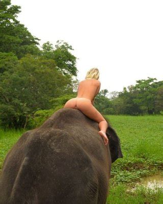 Terry Naha Visit To Sri Lanka Porn Pictures XXX Photos Sex Images 3906098 PICTOA