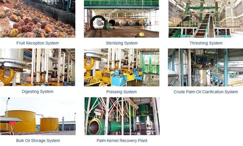 Palm Oil Processing Machine Things To Know Before Start Oil Mill