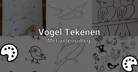 Vogel Tekenen Met Videouitleg