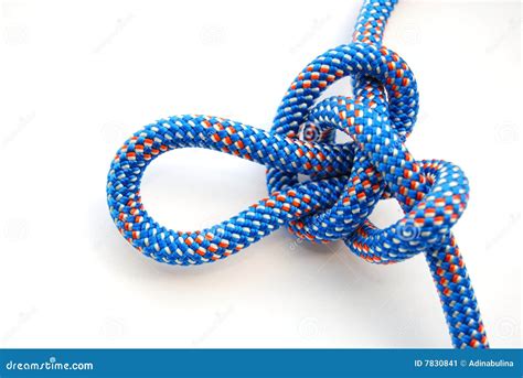 Alpine butterfly knot stock image. Image of durability - 7830841