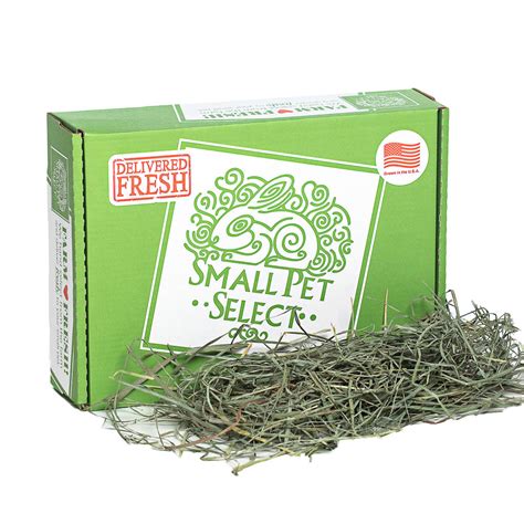 Rabbit Hay Basics. What You Need To Know. | Small Pet Select