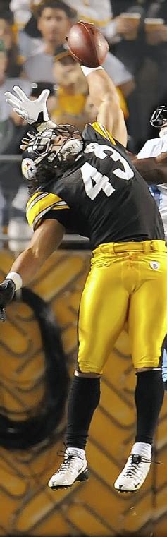 Troy Polamalu One Handed Interception