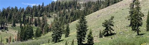 Donner Pass To Olympic Valley Via The Pacific Crest Trail California 238 Reviews Map Alltrails