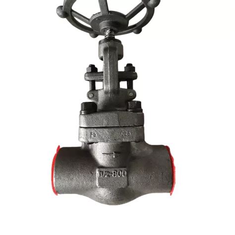 Astm A182 F5 Forged Globe Valve 1 12 Inch 800 Lb Sw Bosseal