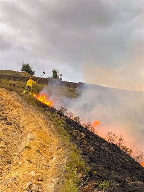 140 Incendios Forestales En Lo Que Va Del 2022 Diario La Hora