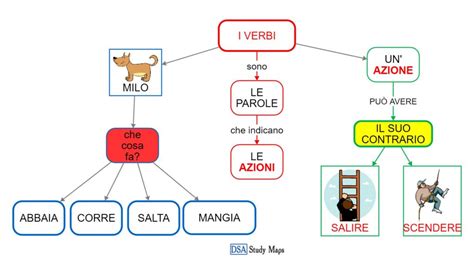 I Verbi DSA Study Maps Junior