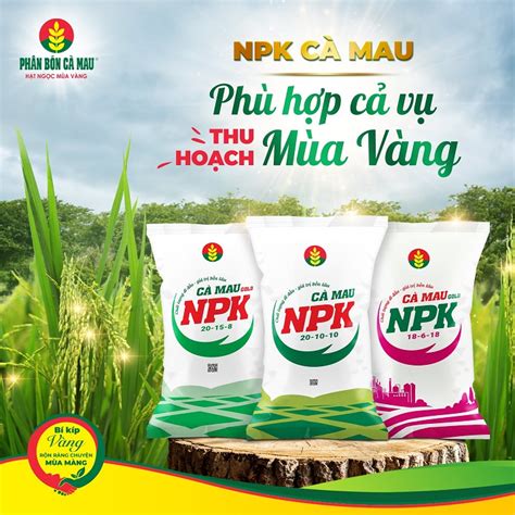 NPK Cà Mau Phù Hợp Cả Vụ Lúa Thu Hoạch Mùa Vàng Phân bón Cà Mau