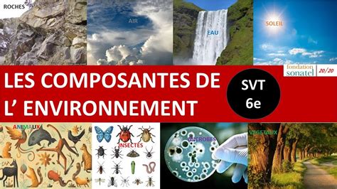 Composantes De L Environnement SVT 6e YouTube