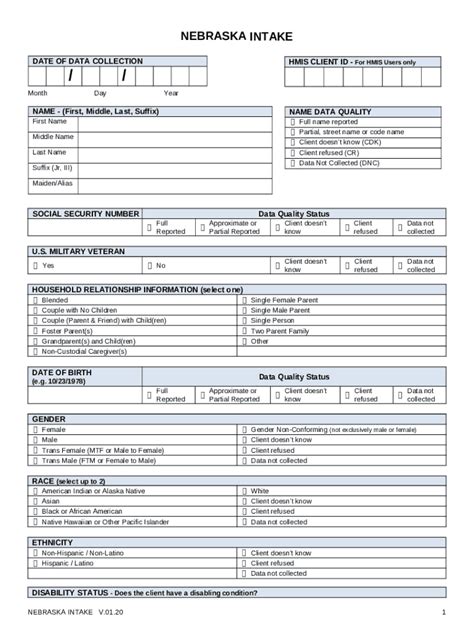 CoC HMIS Data Collection Template Project Entry Nebraska Ccfl Unl