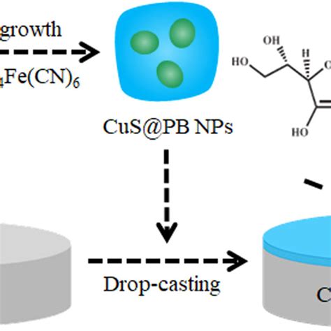 Schematic Illustration Of The Cuspbgce Fabrication Process