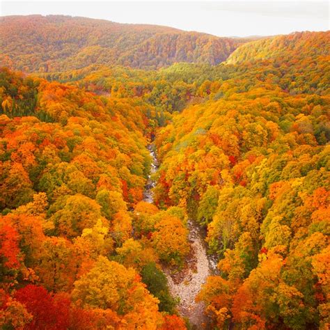 15 Best Places To See New England Fall Foliage 2022 Scenic New England Drives